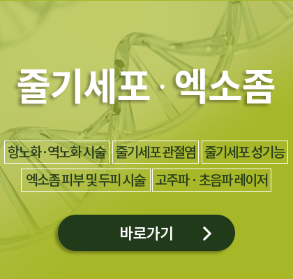 줄기세포, 엑소좀